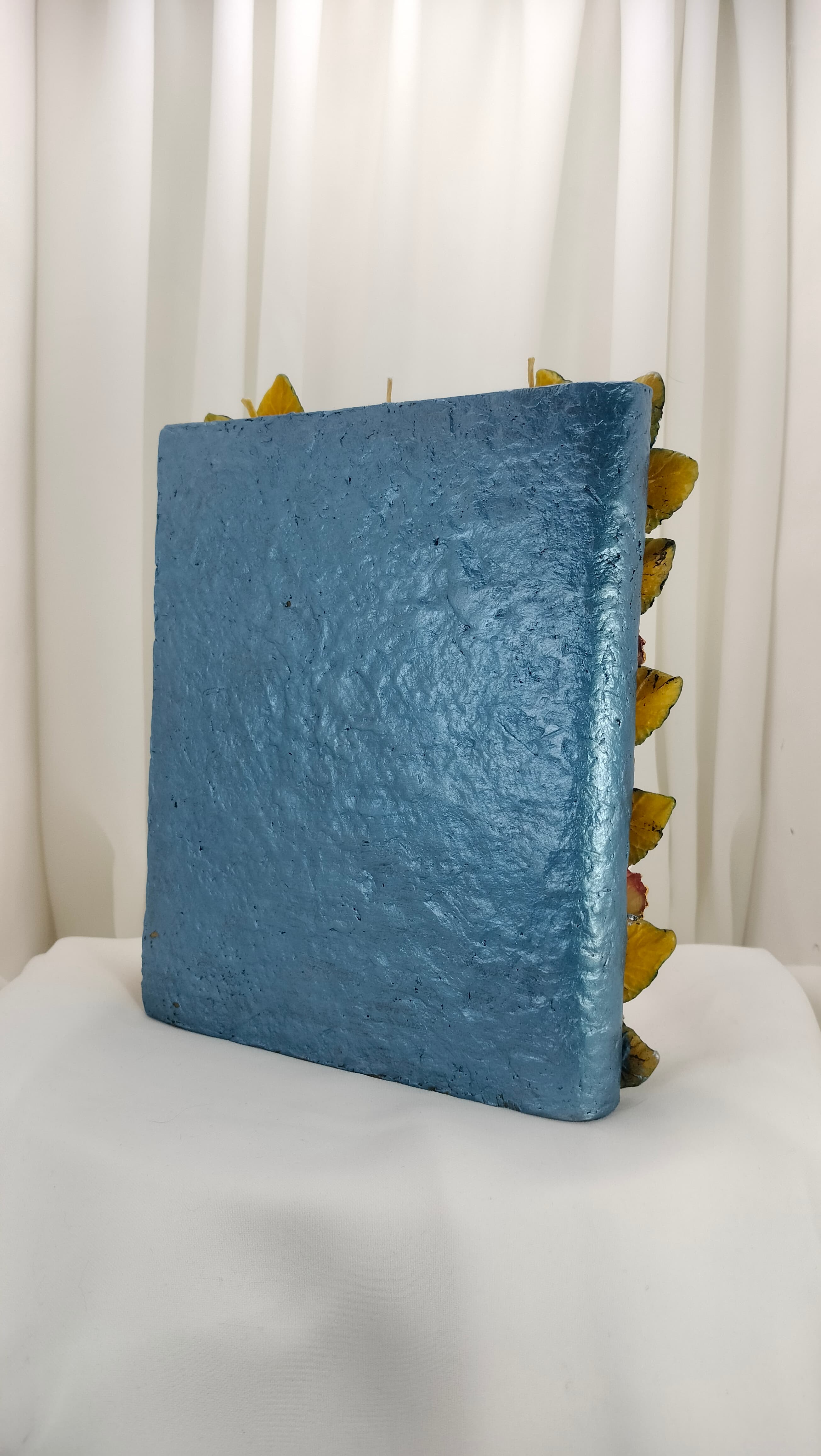 Book of Draconic Beauty