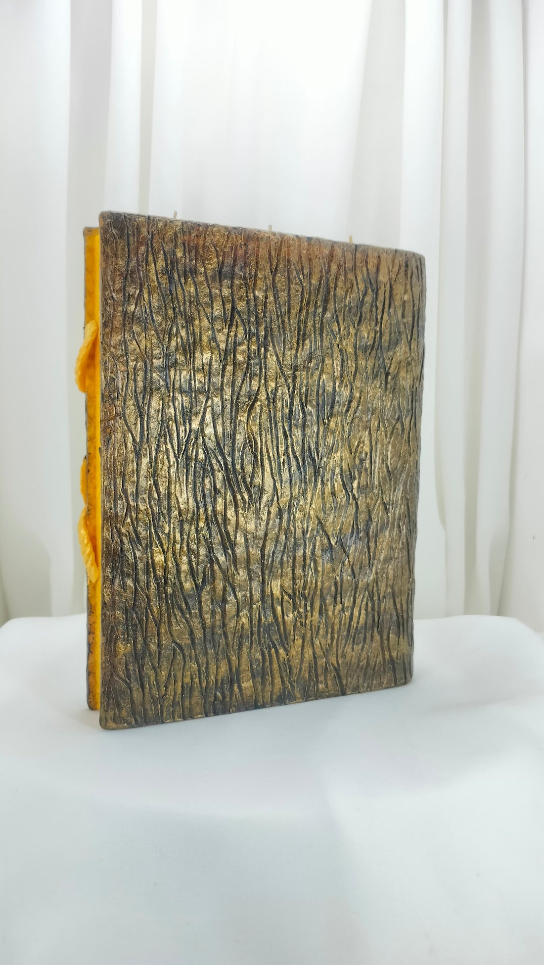 Book of Wise Dragon Familiar