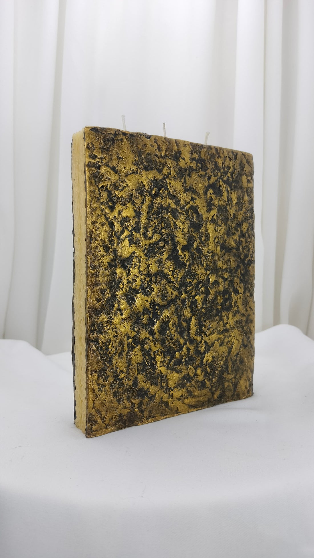 Feline Book of Magical Famlliars