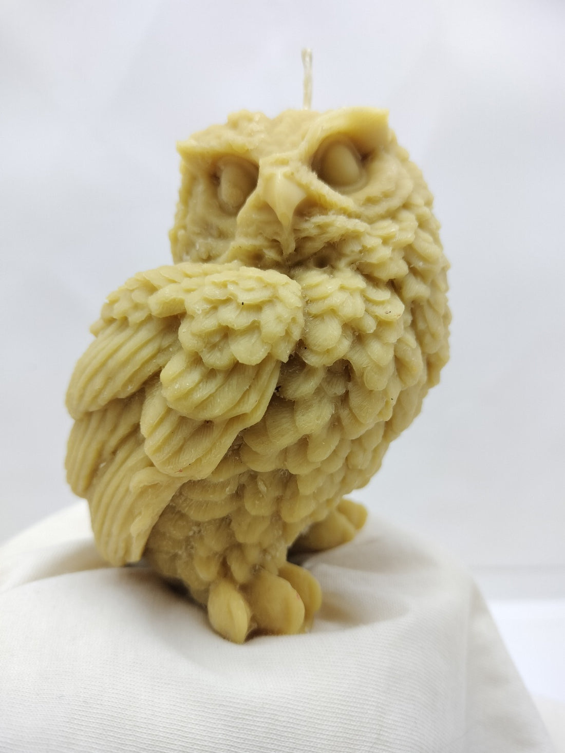 Owl Familiar